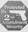 Wall Art - Protected by 2nd Amendment