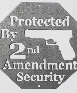 Wall Art - Protected by 2nd Amendment