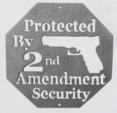 Second Amendment Wall Art in Gray