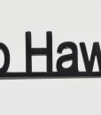 Go Hawks-lowercase1