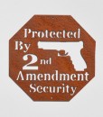 Protected by 2nd Amend3